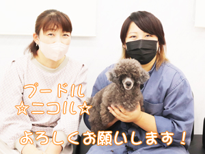 新しい家族が決まりました♪
